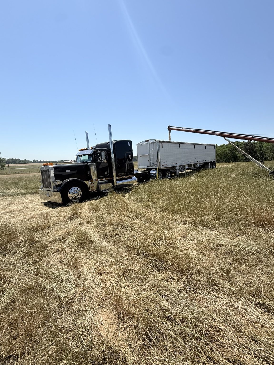 DQS Transport black Peterbilt with hopper trailer loading in a field
